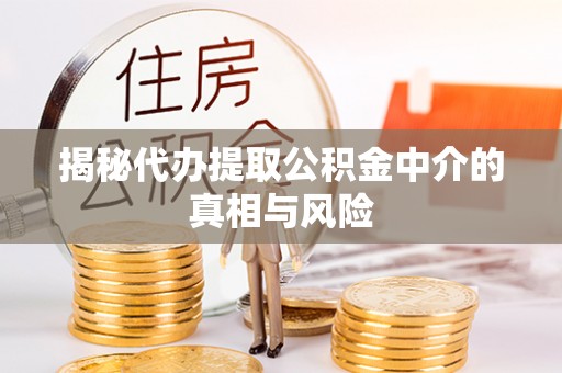 夏河揭秘代办提取公积金中介的真相与风险