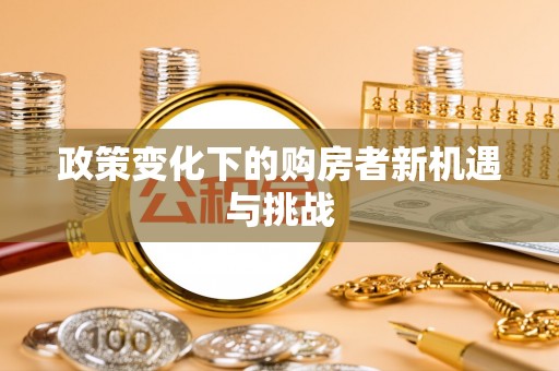 夏河政策变化下的购房者新机遇与挑战
