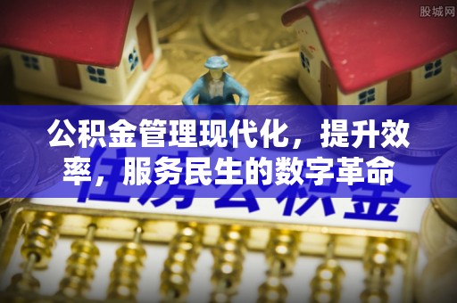 夏河公积金管理现代化，提升效率，服务民生的数字革命