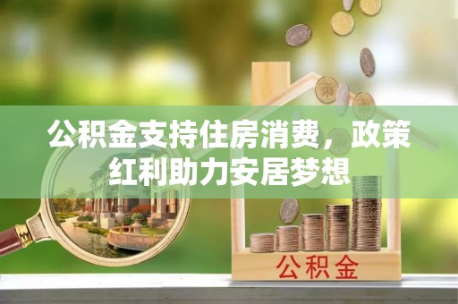 夏河公积金支持住房消费，政策红利助力安居梦想