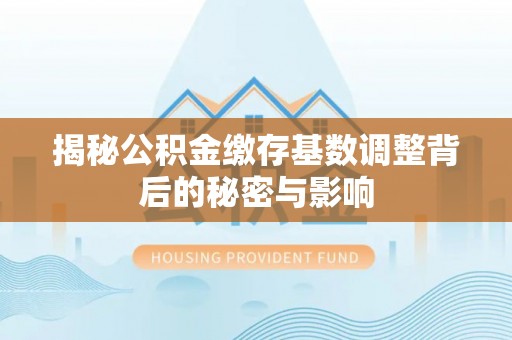 夏河揭秘公积金缴存基数调整背后的秘密与影响