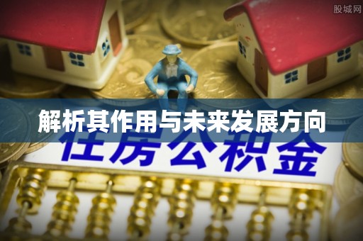 夏河解析其作用与未来发展方向