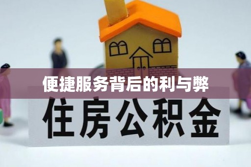 夏河便捷服务背后的利与弊