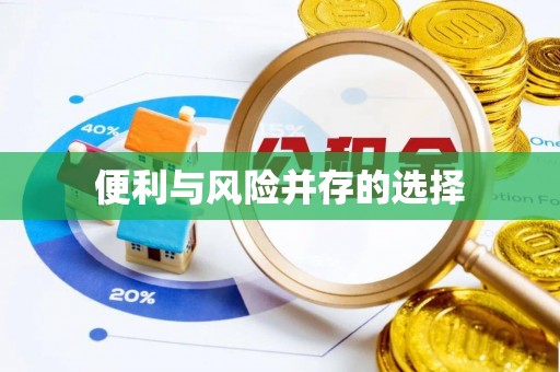 夏河便利与风险并存的选择