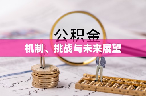 夏河机制、挑战与未来展望