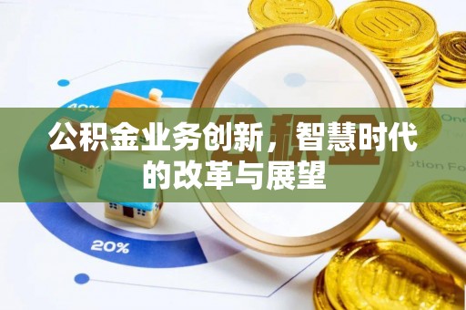 夏河公积金业务创新，智慧时代的改革与展望